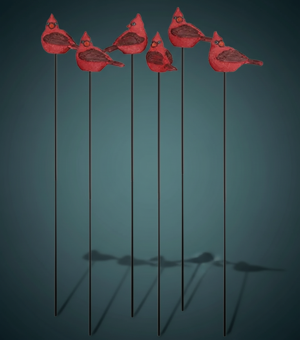 Mini Bird Picks