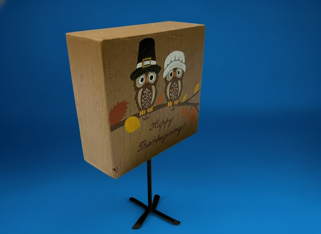 Thanksgiving owls